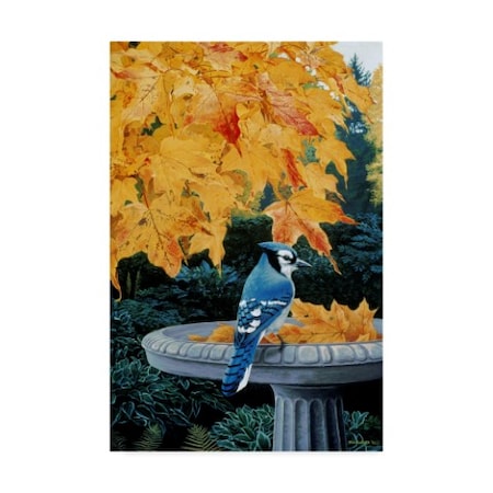 Ron Parker 'Autumn Birdbath' Canvas Art,30x47